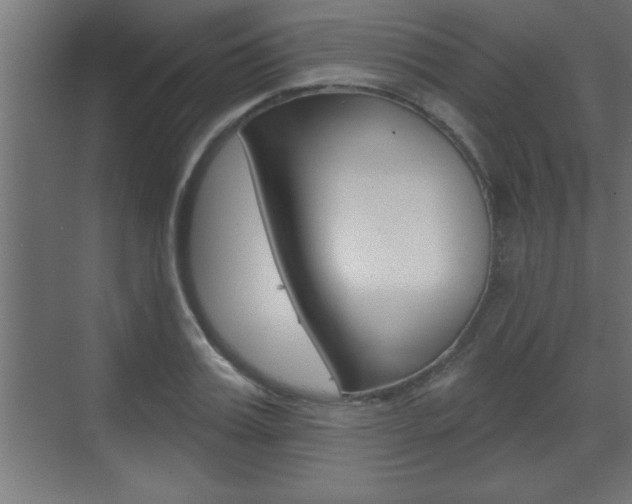 X0000073520987200607310945