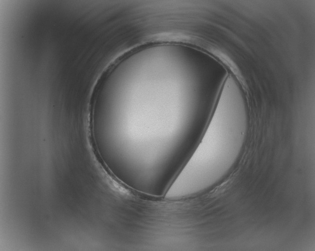 X0000073520992200607310945