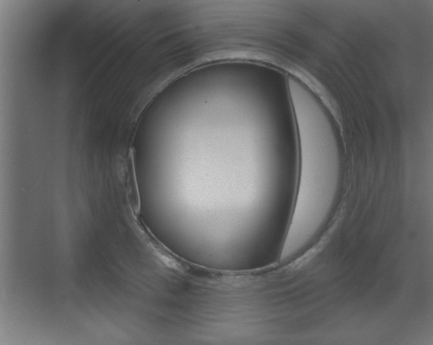 X0000073520993200607310945