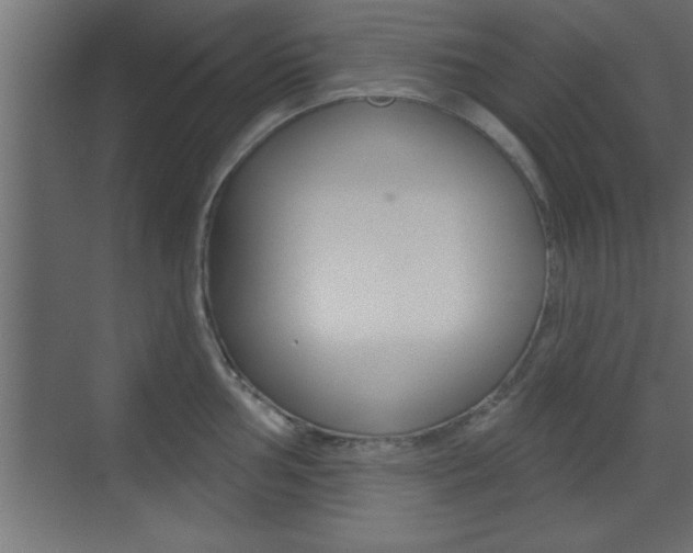 X0000073521002200607310945
