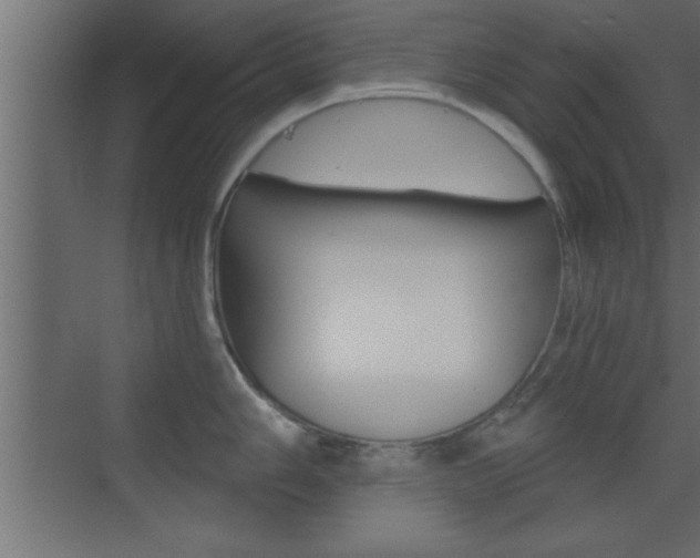 X0000073521006200607310945