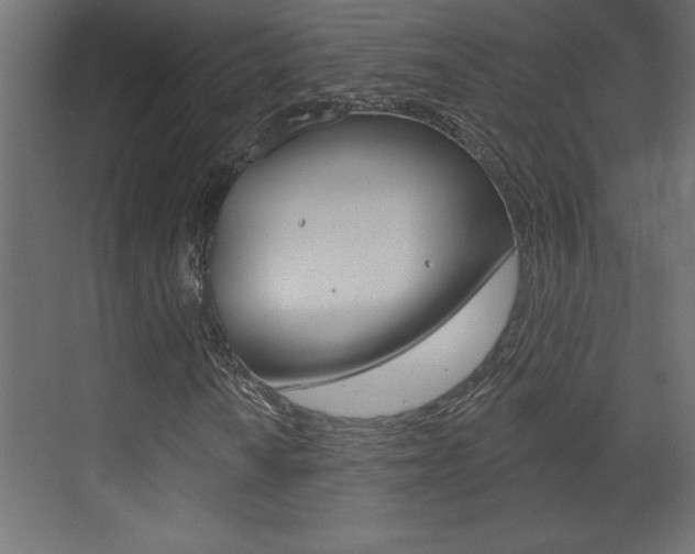 X0000073521010200607310944