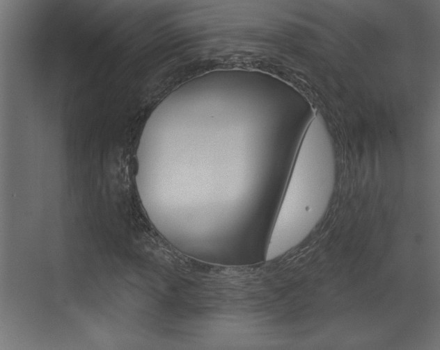 X0000073521013200607310944