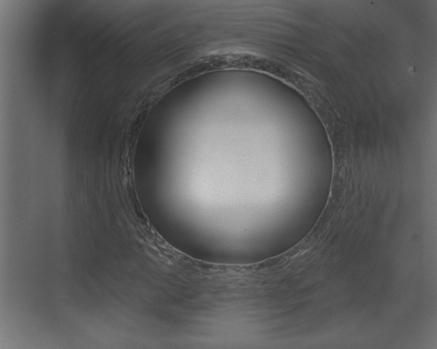 X0000073521014200607310944