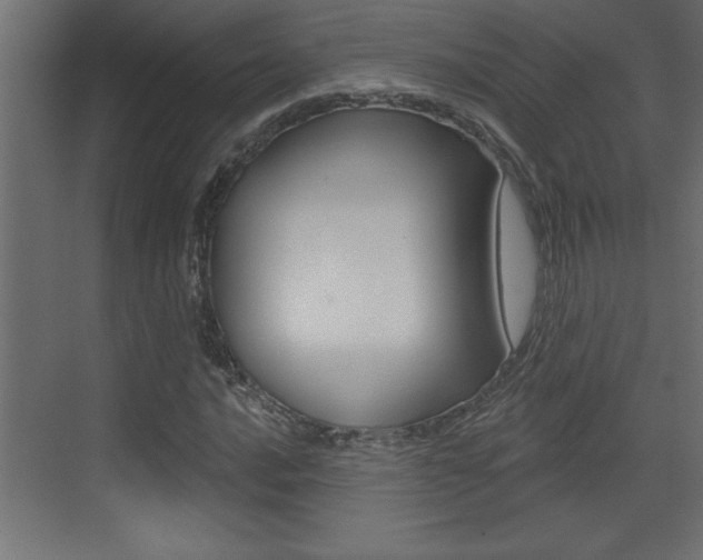 X0000073521016200607310944