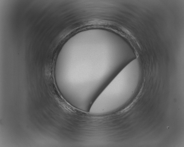 X0000073521017200607310944