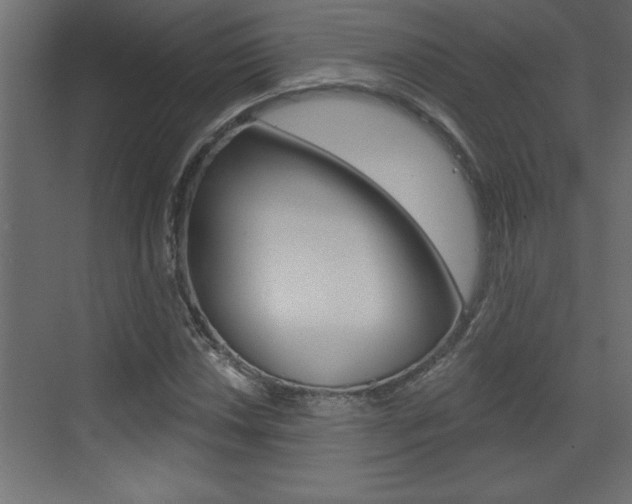 X0000073521018200607310944