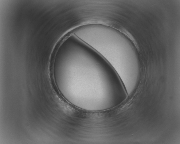 X0000073521020200607310944