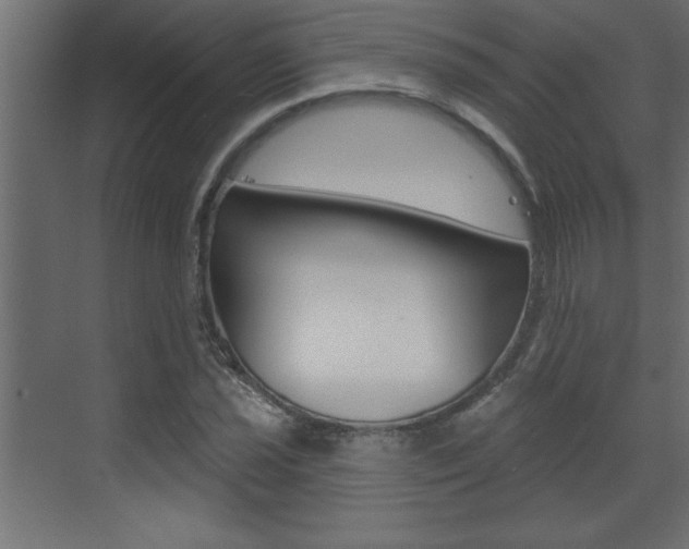 X0000073521021200607310944