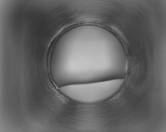 X0000073521023200607310944