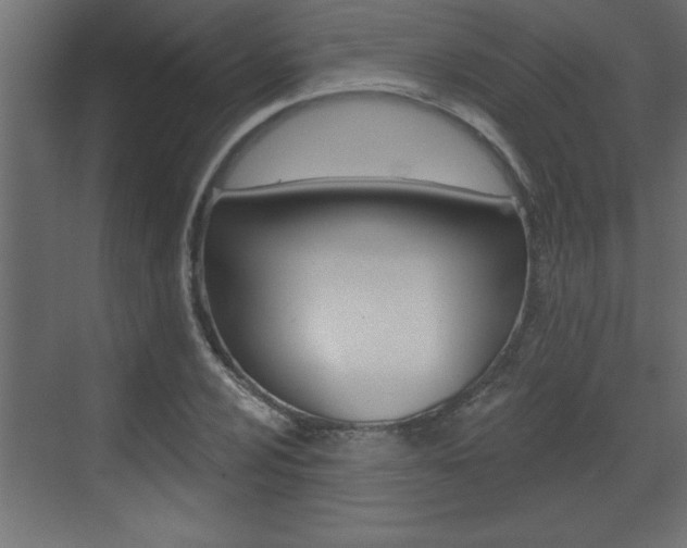 X0000073521024200607310944