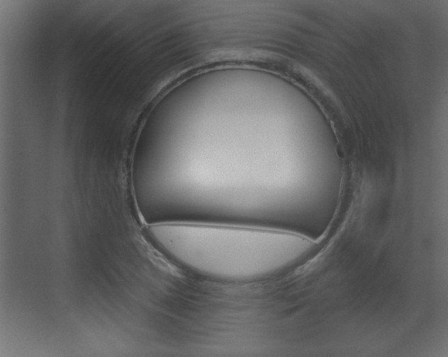 X0000073521025200607310944