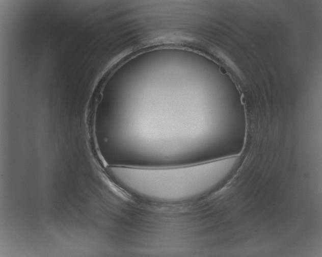 X0000073521026200607310944
