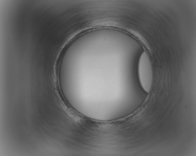 X0000073521031200607310944