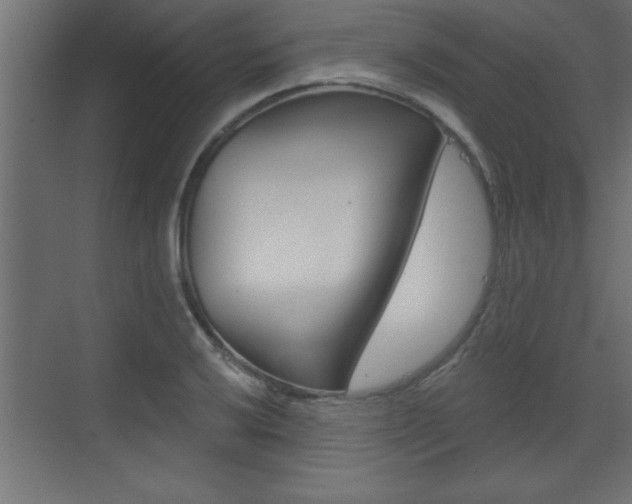X0000073521032200607310944