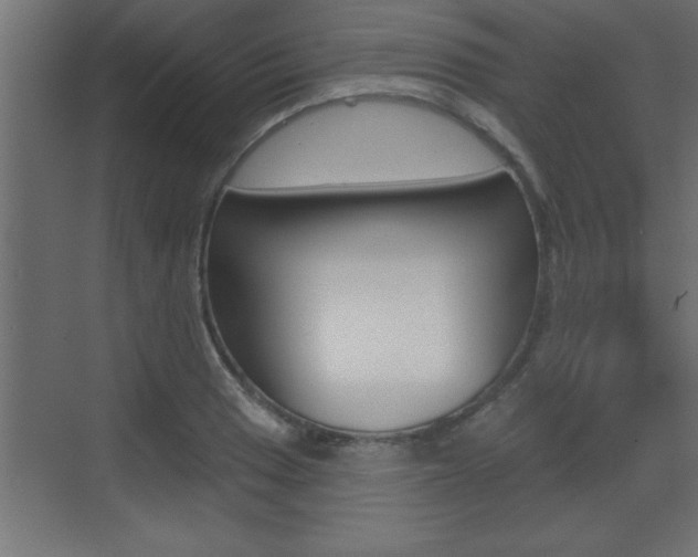X0000073521033200607310944