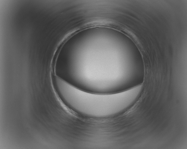 X0000073521034200607310944