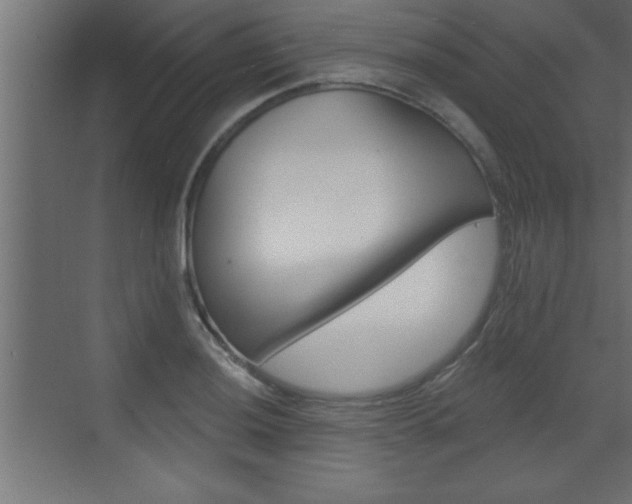 X0000073521036200607310944