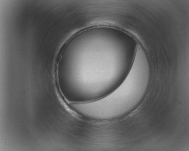 X0000073521038200607310944