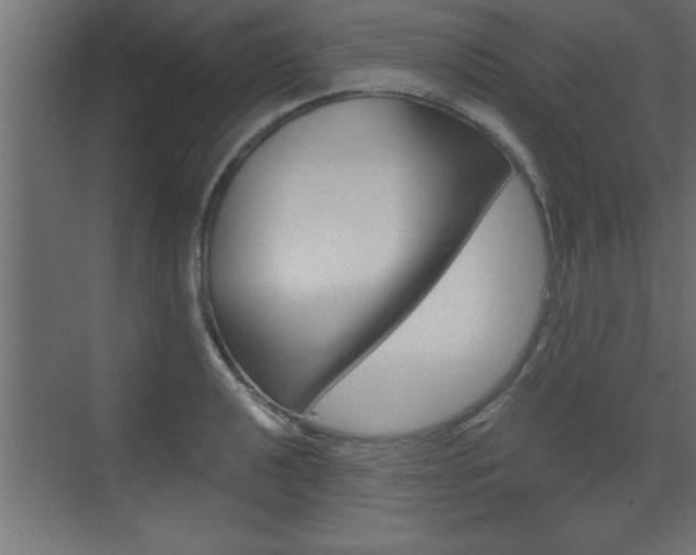 X0000073521040200607310944