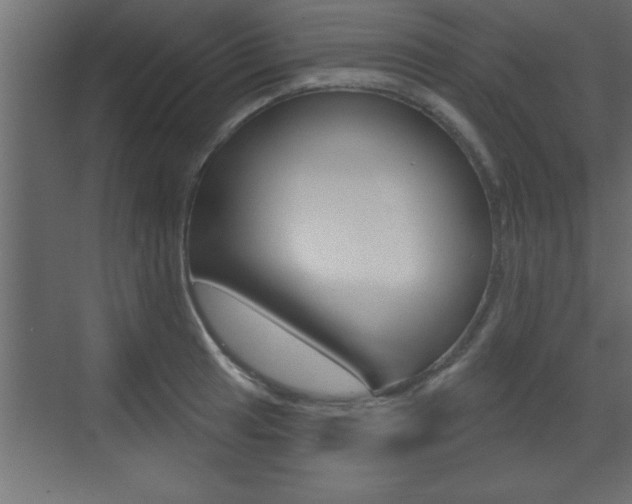 X0000073521041200607310944
