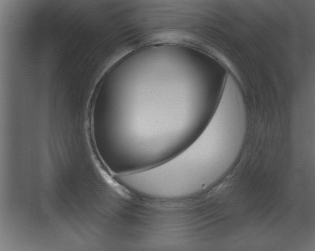 X0000073521042200607310944