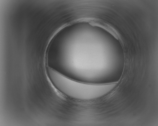X0000073521050200607310945