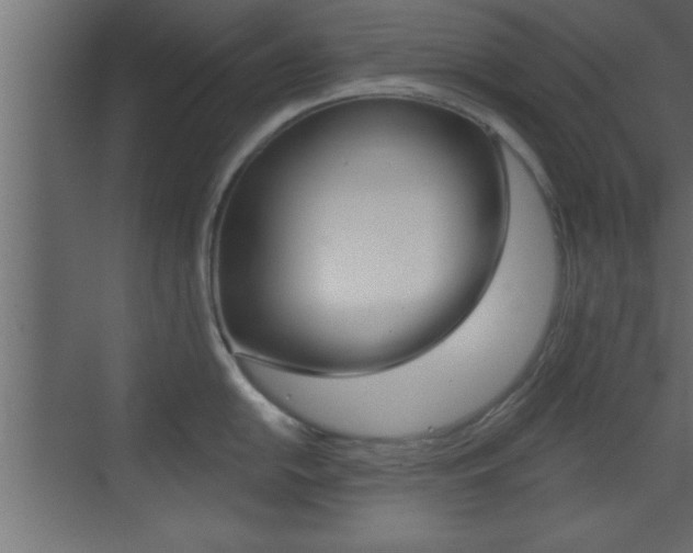 X0000073521054200607310945