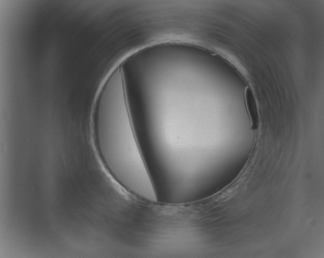 X0000073521056200607310945