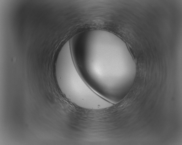 X0000073521057200607310944