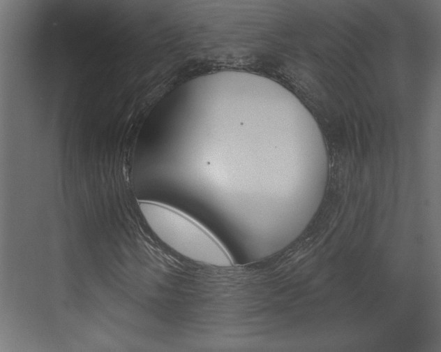 X0000073521058200607310944