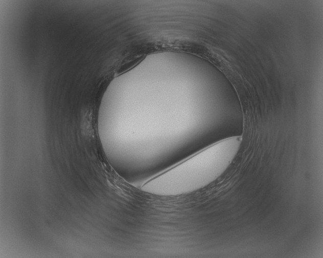 X0000073521060200607310944
