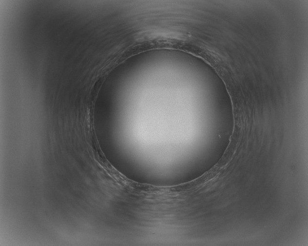 X0000073521061200607310944