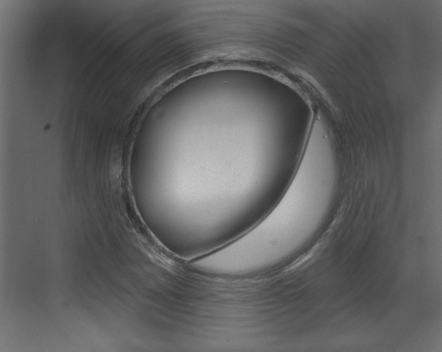 X0000073521065200607310944