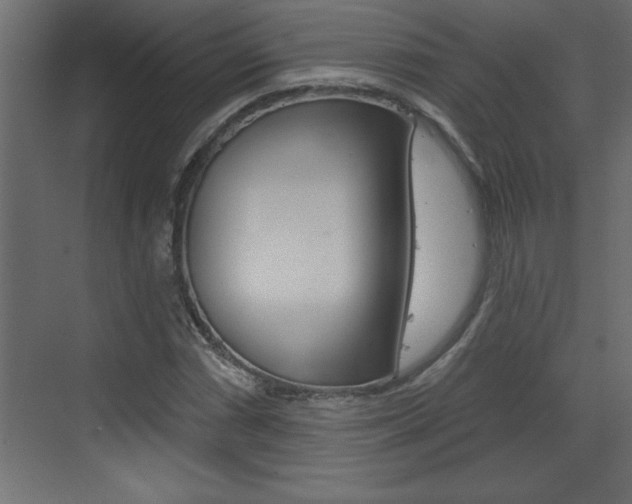 X0000073521066200607310944