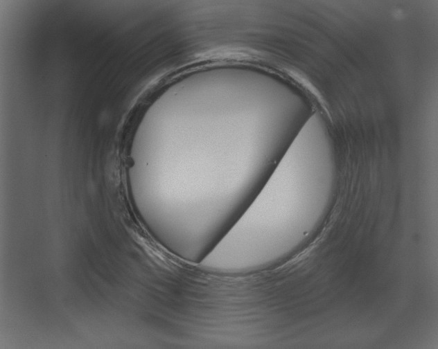 X0000073521067200607310944