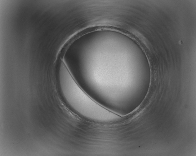 X0000073521069200607310944
