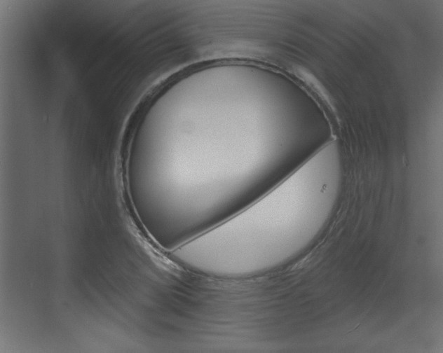 X0000073521072200607310944
