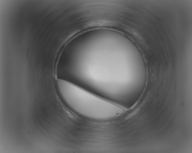 X0000073521073200607310944