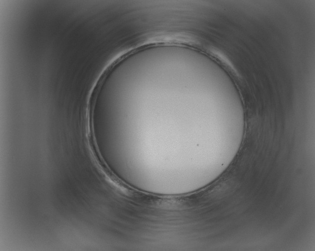 X0000073521079200607310943