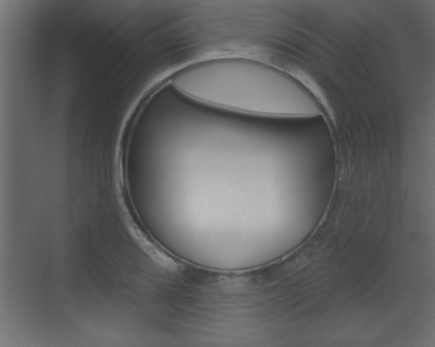 X0000073521080200607310943