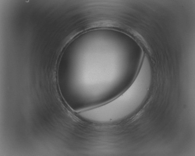 X0000073521081200607310943