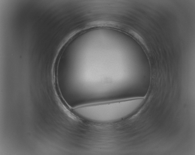 X0000073521082200607310943