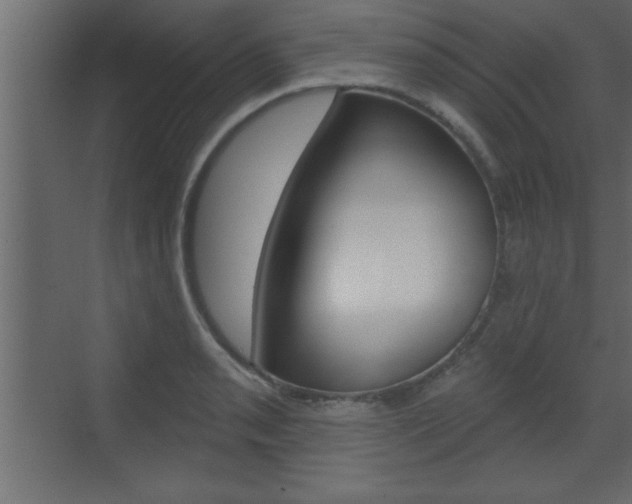 X0000073521085200607310943