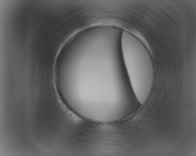 X0000073521088200607310943