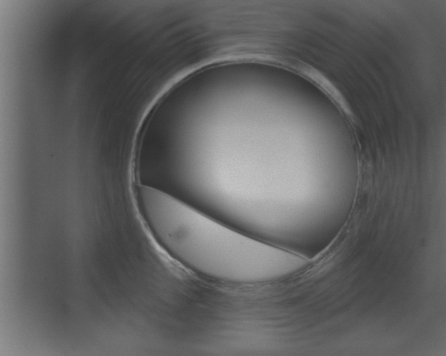 X0000073521101200607310943