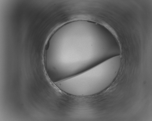 X0000073521104200607310943