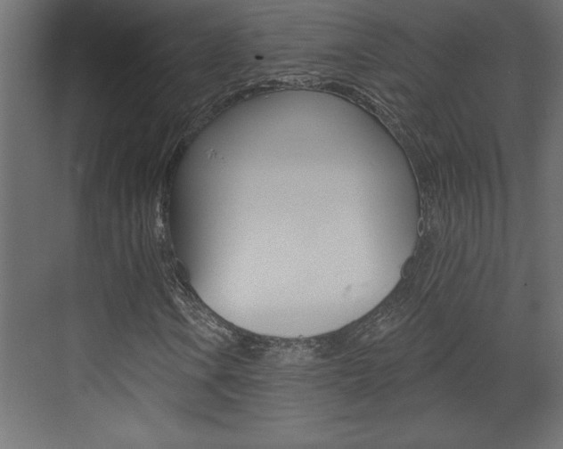 X0000073521106200607310942