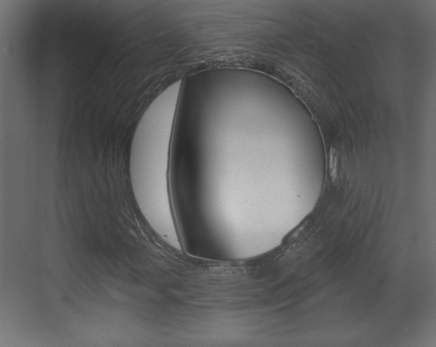 X0000073521107200607310942