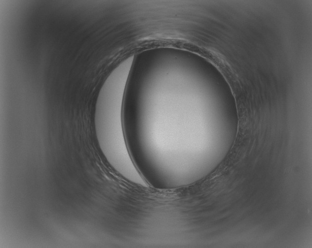 X0000073521110200607310942